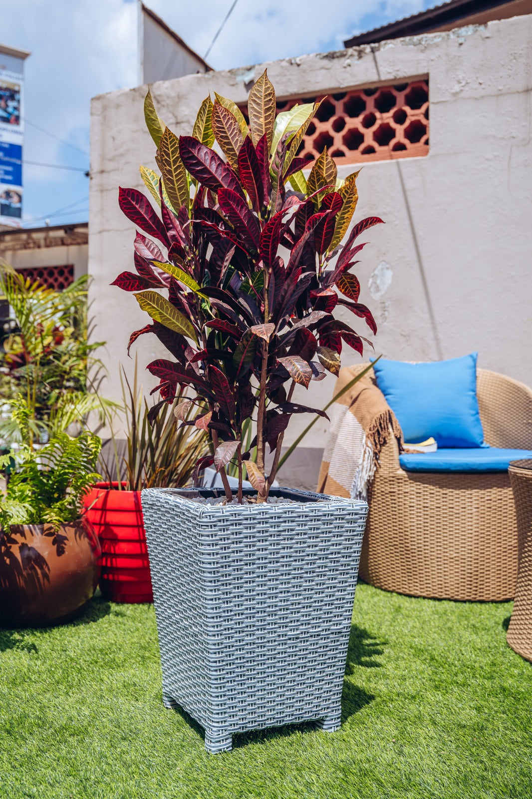 Rattan Planters