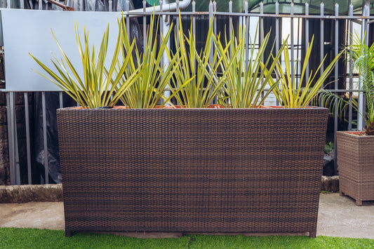 5-in-1 Planter