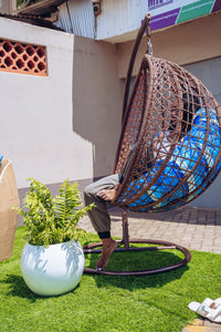 Acacia Swing