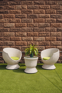 Begonia Set