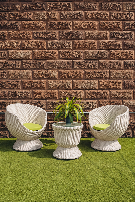 Begonia Set