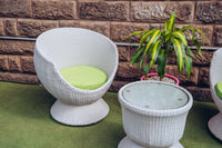 Begonia Set