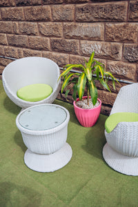Begonia Set
