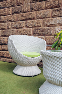 Begonia Set