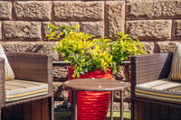 Blue Bell 1-Seater