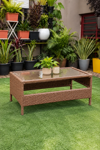 Lily Table