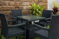 Mini Hibiscus Dining Set
