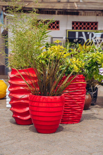 Upgrade your space with our garden and greenery pieces