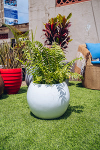 Rounded Smooth Fibre Pot