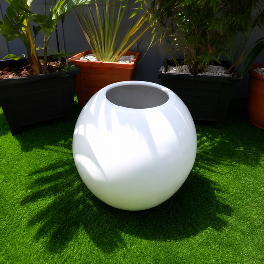 Rounded Medium High - SE/P012