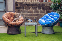 Papasan